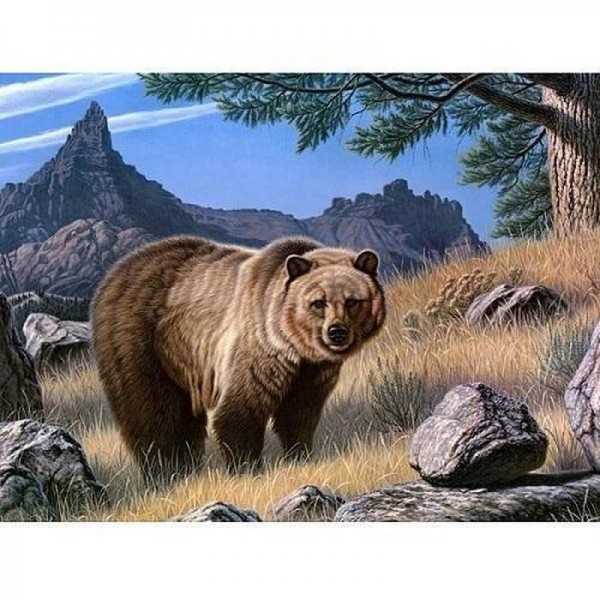 Brun björn