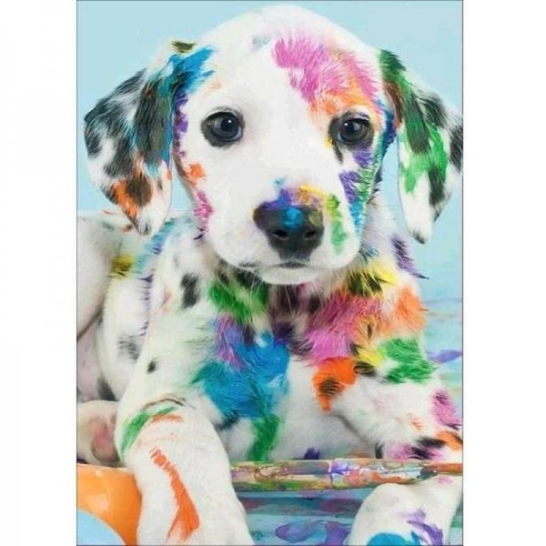 Dalmatiner med färg