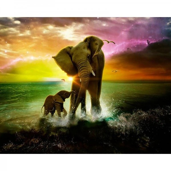 Elefant på stranden