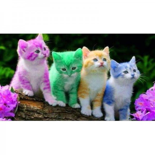 Färgglada katter
