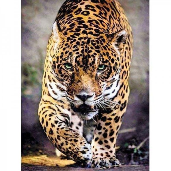 Leopard med gröna ögon