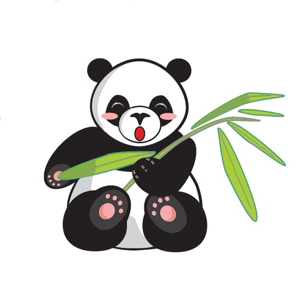 Pandabjörn