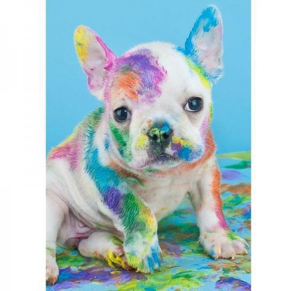 Hund med färg
