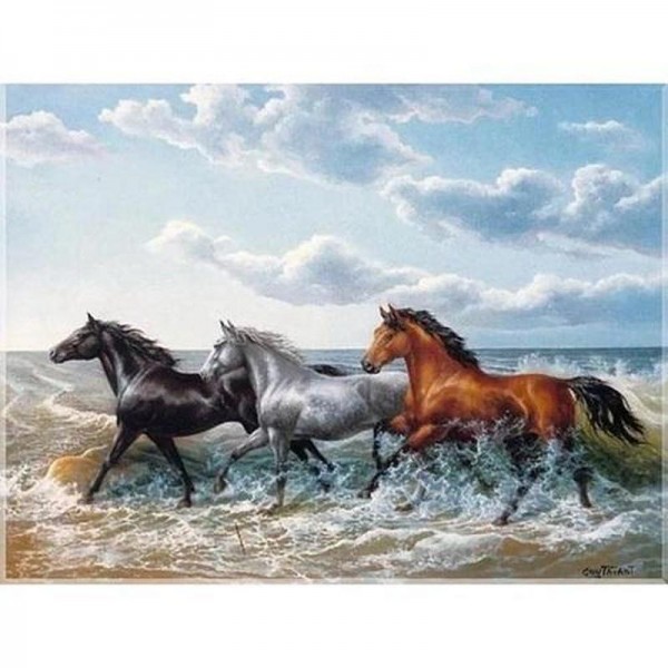 Hästar vid havet