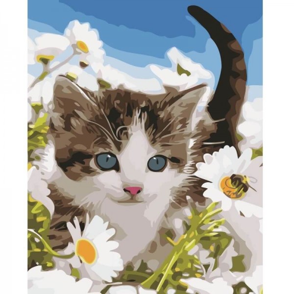 Kattunge - Måla efter nummer