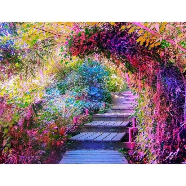 Trappa bland höstträd