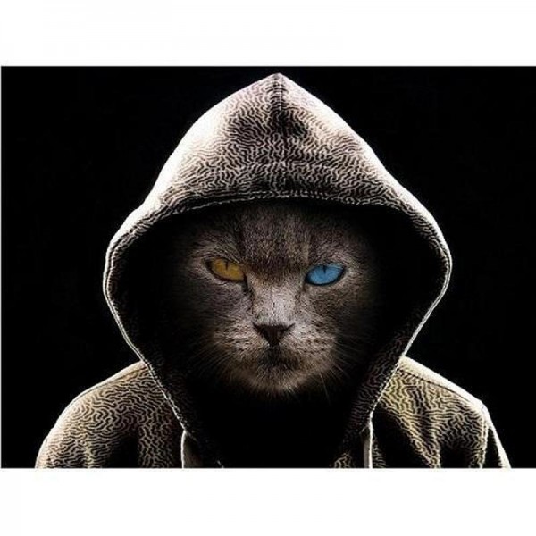 Cool katt med huvtröja