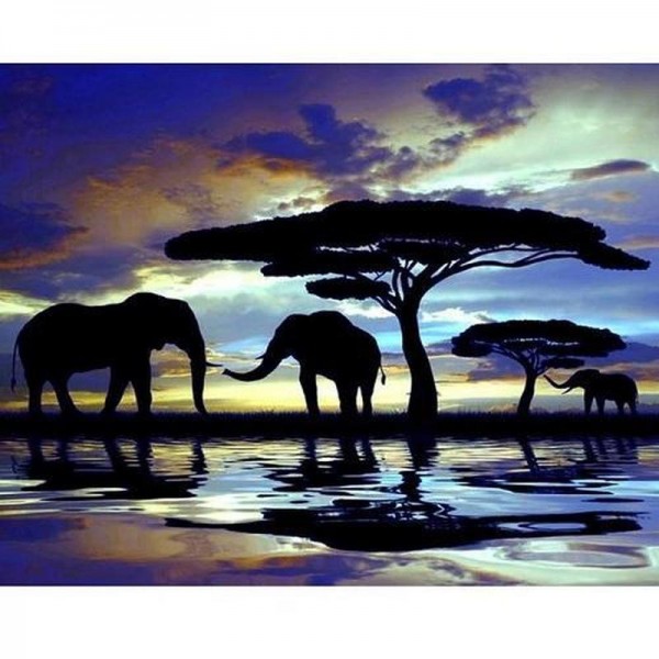 Elefant siluetter i solnedgång