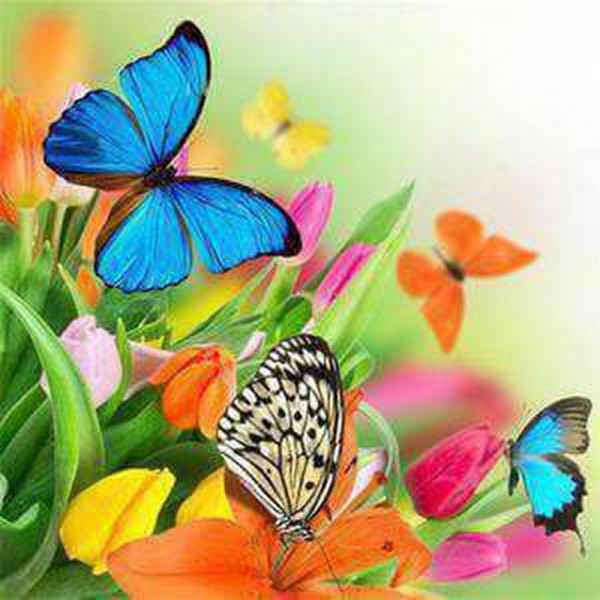 Färgglada fjärilar på blommor