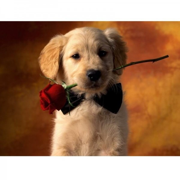 Hund med ros -Måla efter nummer