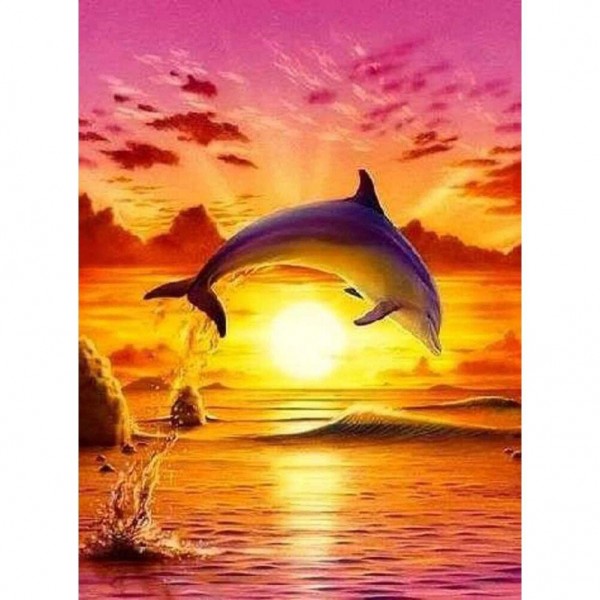 Delfin i solnedgång
