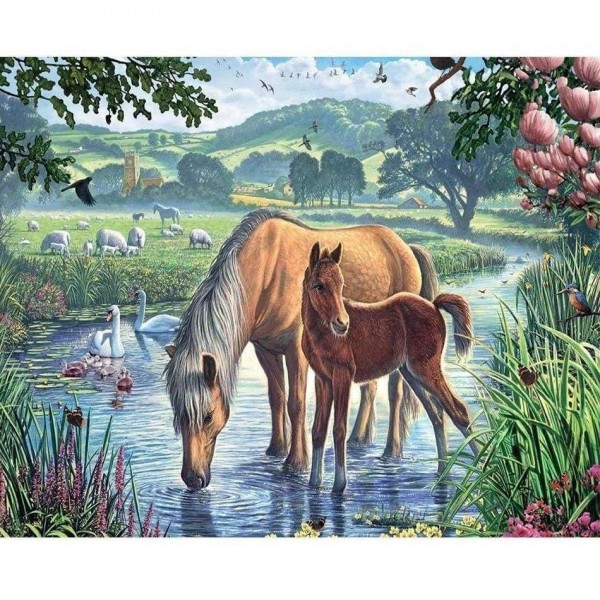 Hästar i vatten