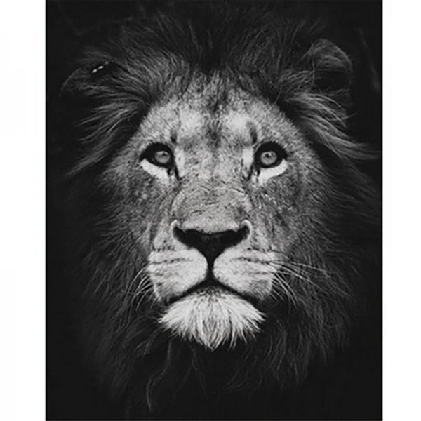 Lejon svart/vit | Måla efter nummer
