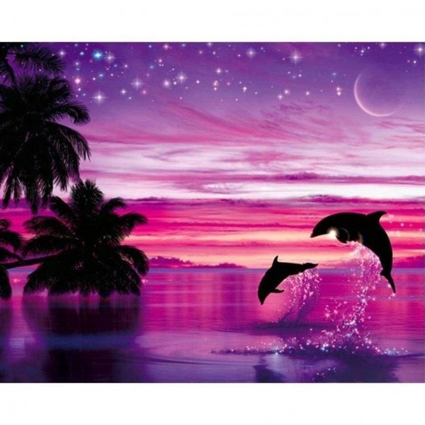 Delfiner i nattljus