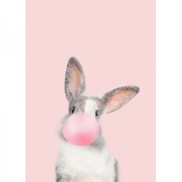 Baby kanin-rosa