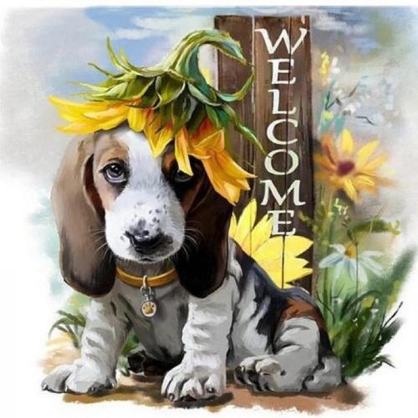 Hund med solros - Välkommen | Text