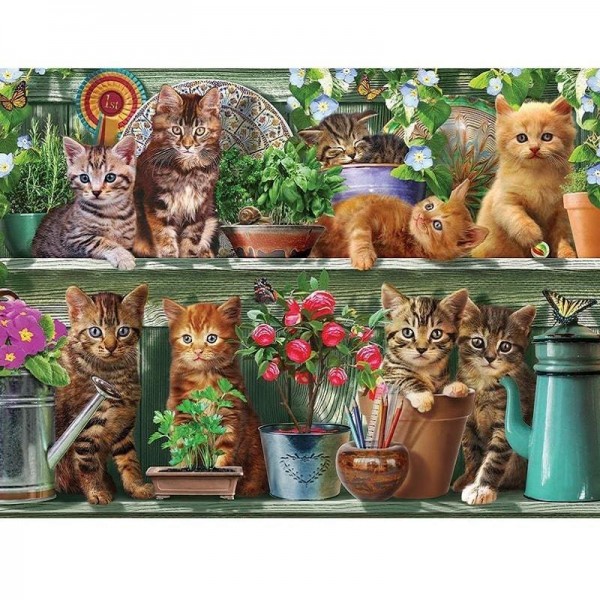 Kattungar och blomkrukor